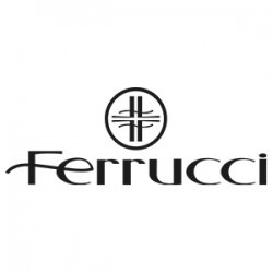 فروچی -ferrucci